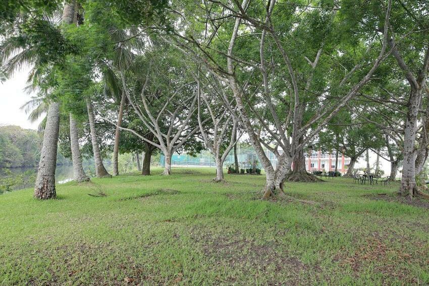 Hotel Plaza Palmas Tuxpan  Esterno foto